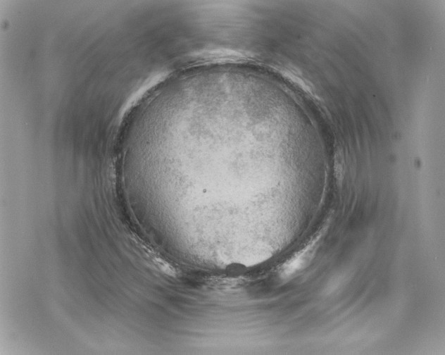 X0000075831309200609291412