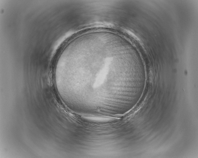 X0000075831310200609291412