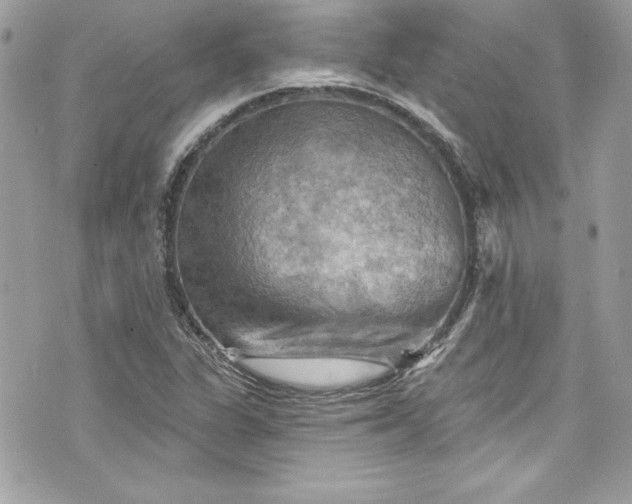 X0000075831311200609291412