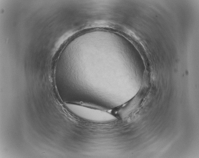 X0000075831312200609291412