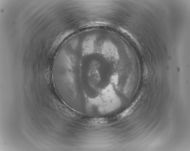 X0000075831313200609291412