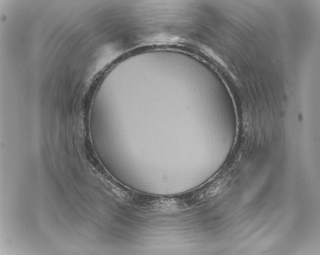 X0000075831315200609291412