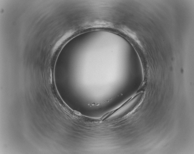 X0000075831317200609291412