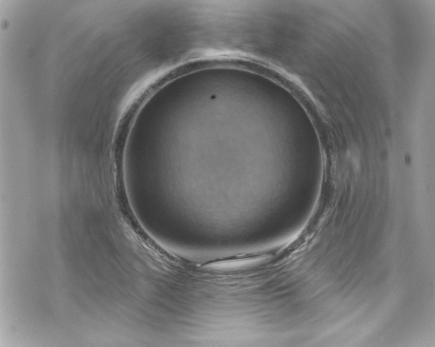 X0000075831319200609291412