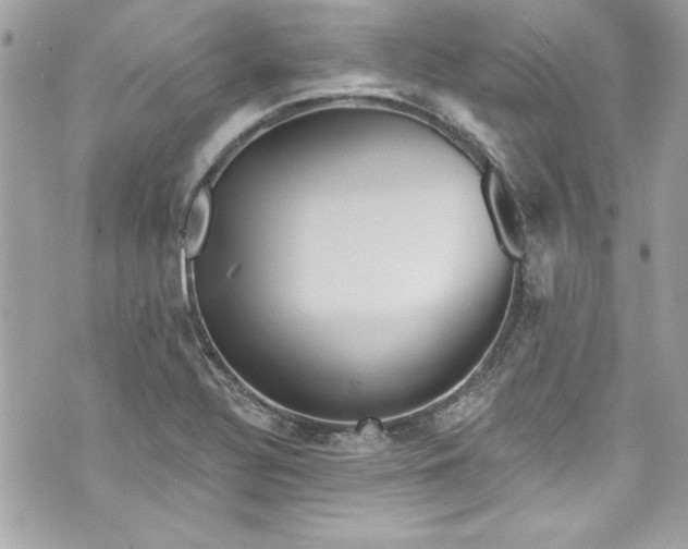 X0000075831320200609291412