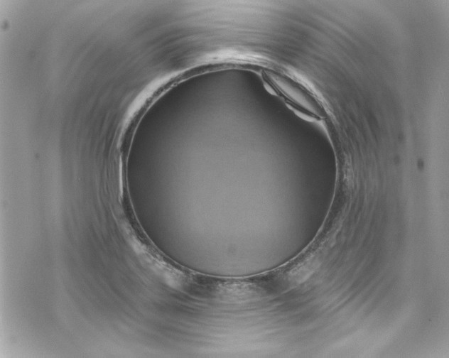 X0000075831323200609291412