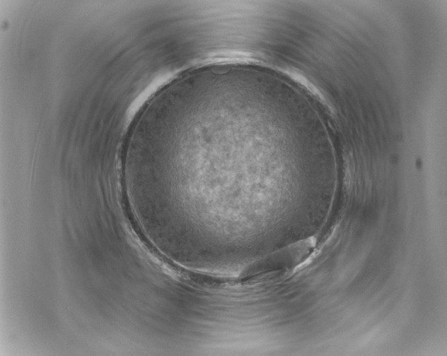 X0000075831325200609291412