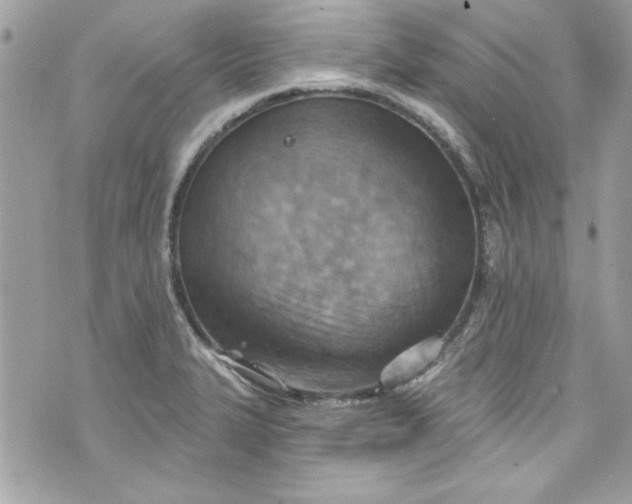 X0000075831327200609291412