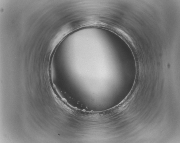 X0000075831330200609291412