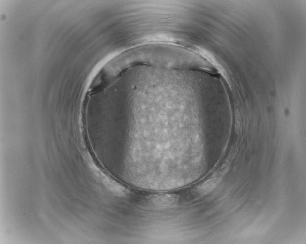 X0000075831331200609291412