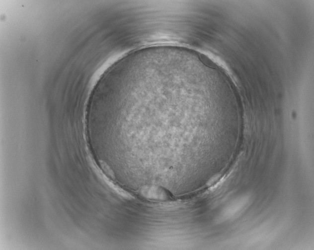 X0000075831333200609291412