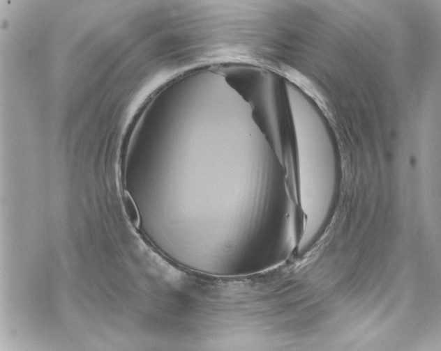 X0000075831334200609291412