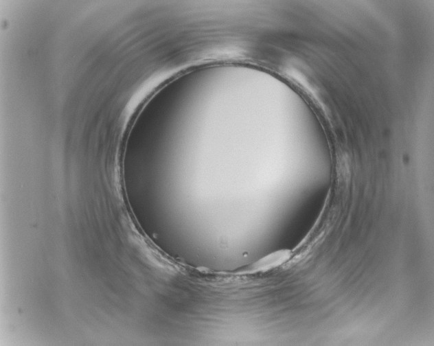 X0000075831336200609291412