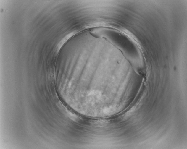 X0000075831337200609291412