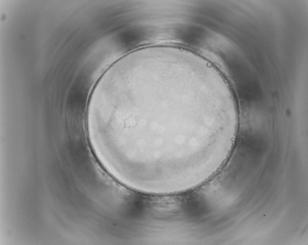 X0000075831338200609291412