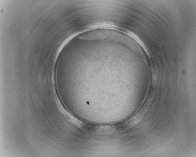 X0000075831339200609291412