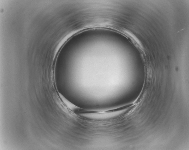 X0000075831340200609291412