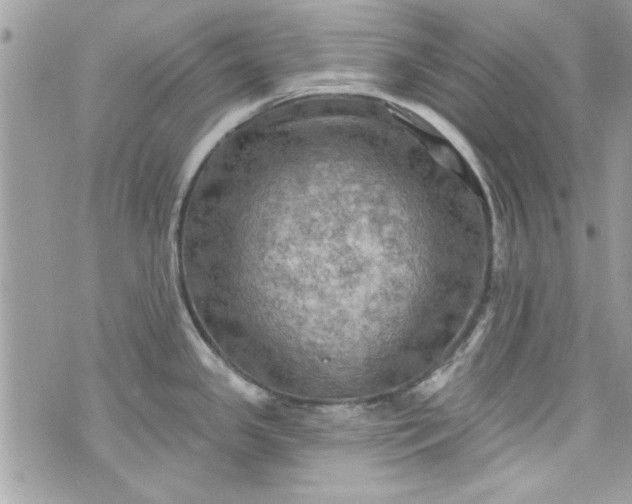 X0000075831341200609291412