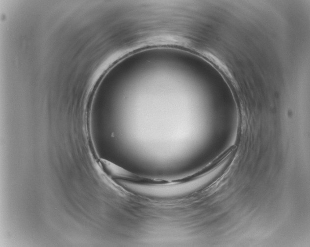 X0000075831342200609291412