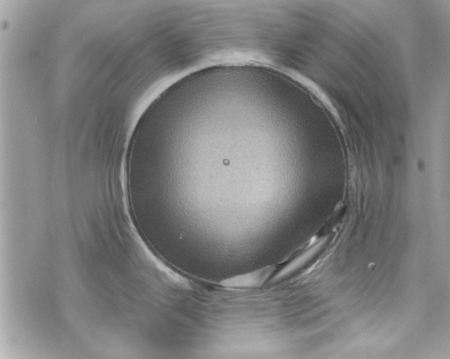 X0000075831343200609291412