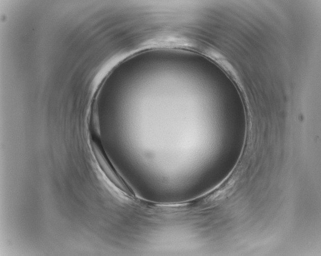 X0000075831344200609291412