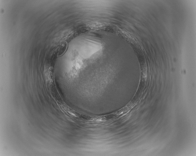 X0000075831346200609291411