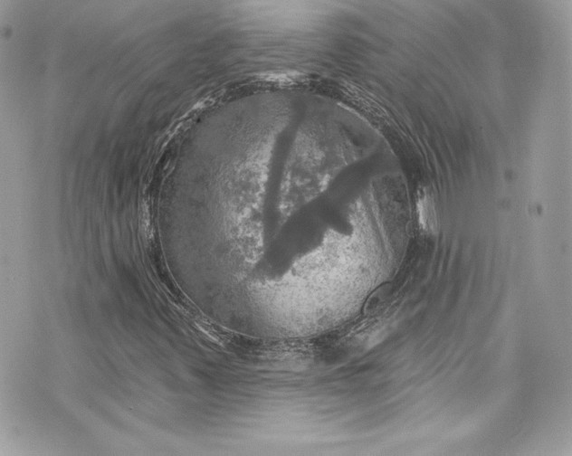 X0000075831347200609291411