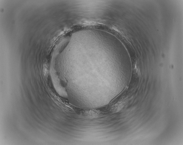 X0000075831348200609291411