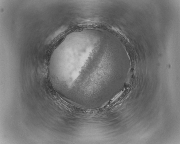 X0000075831350200609291411