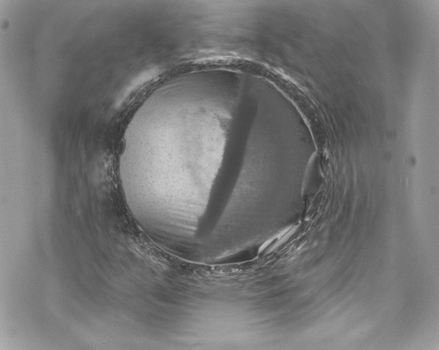 X0000075831351200609291411