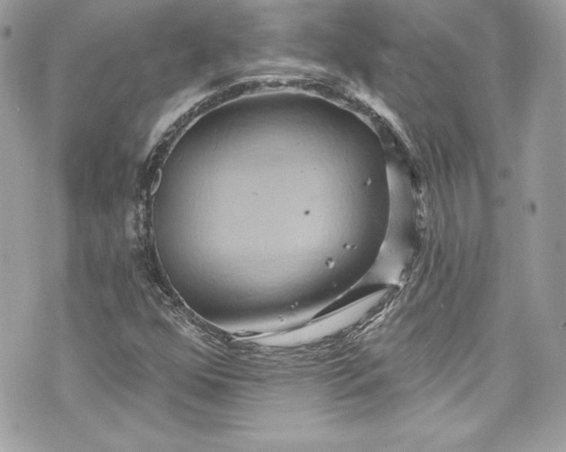 X0000075831352200609291411