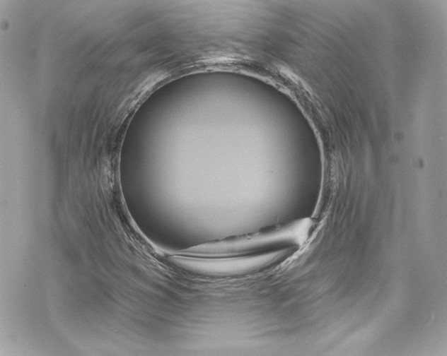 X0000075831353200609291411