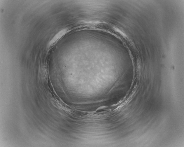 X0000075831354200609291411