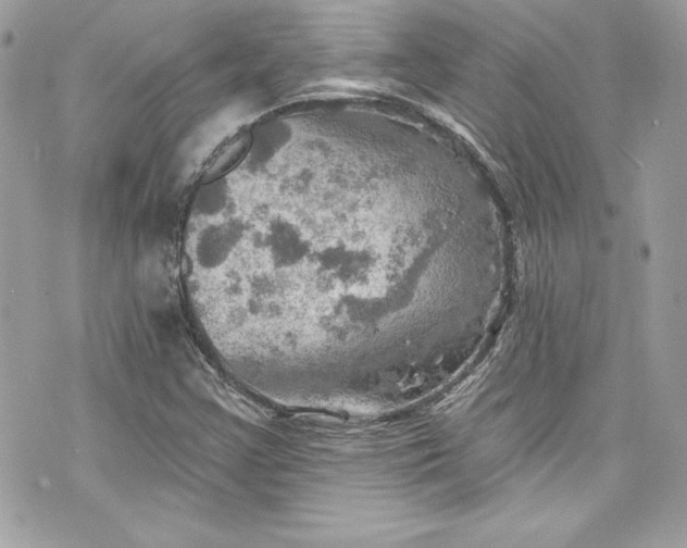 X0000075831355200609291411