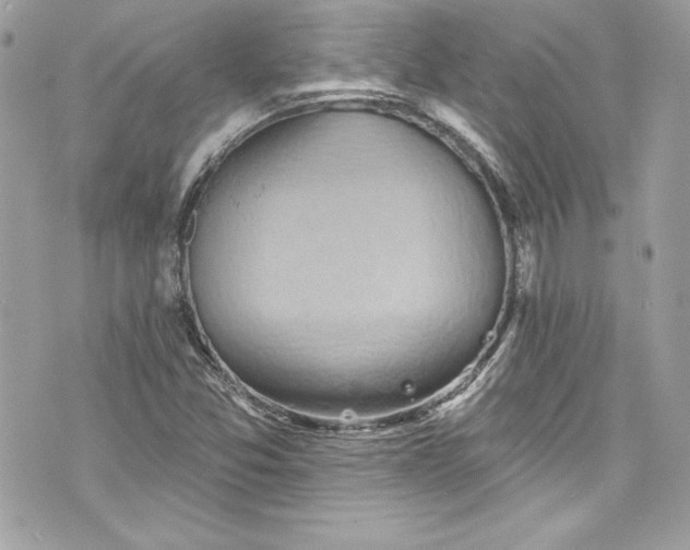 X0000075831357200609291411