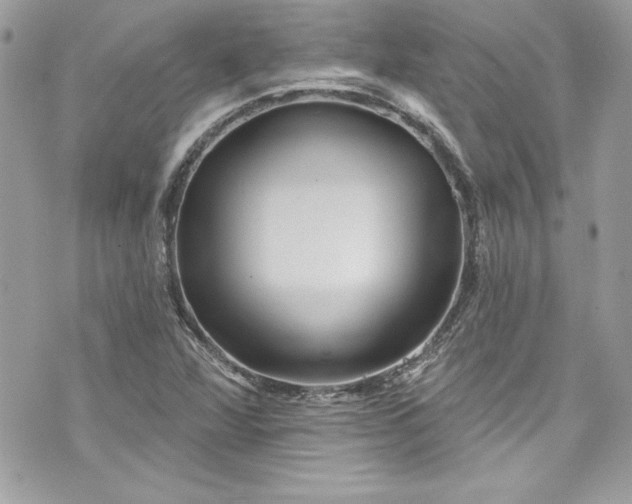 X0000075831360200609291411