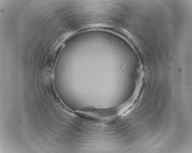 X0000075831361200609291411