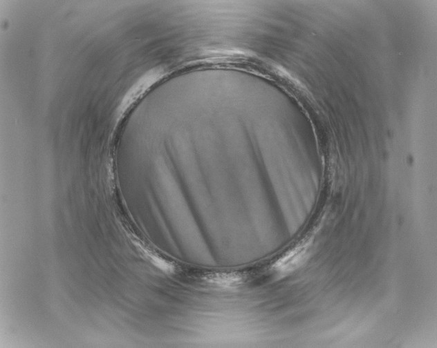 X0000075831362200609291411