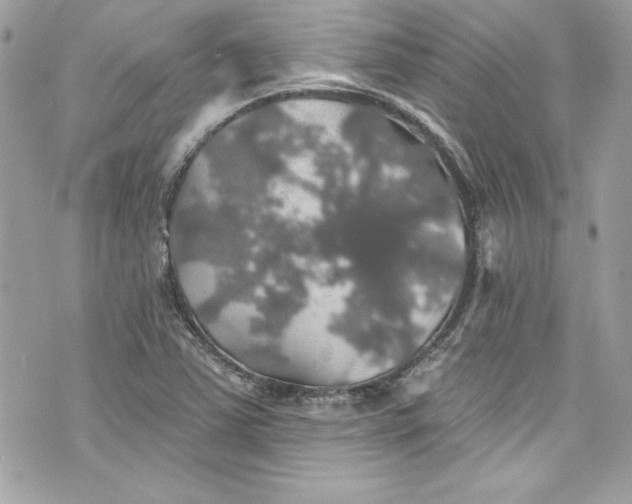 X0000075831363200609291411