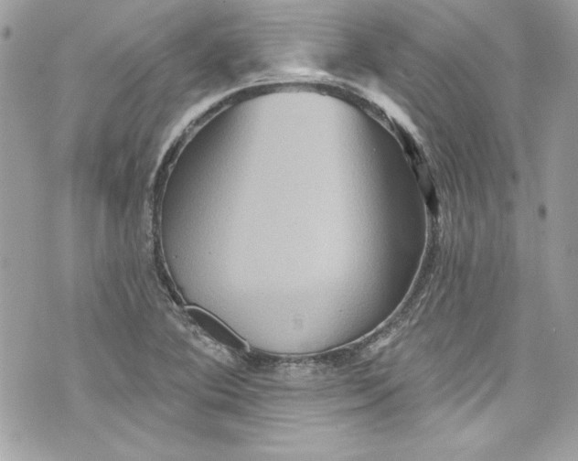 X0000075831364200609291411