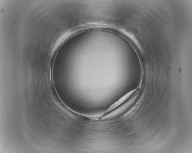 X0000075831365200609291411