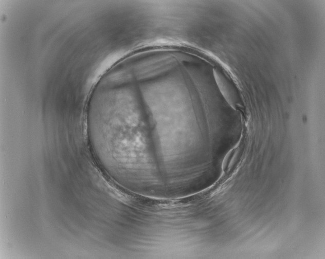 X0000075831367200609291411