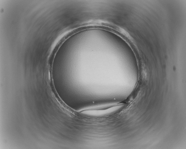 X0000075831368200609291411