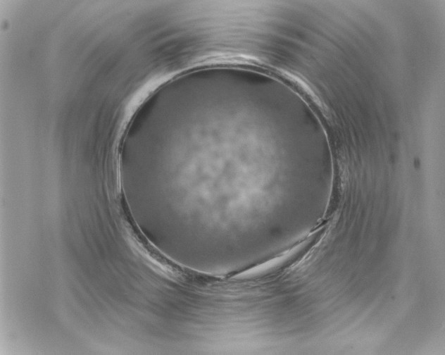 X0000075831371200609291411