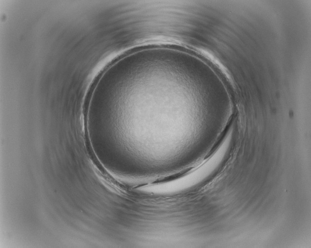 X0000075831372200609291411