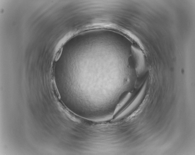 X0000075831373200609291411