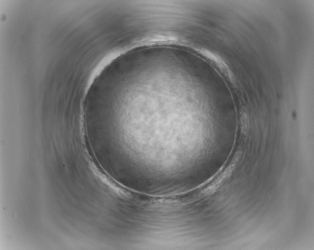 X0000075831374200609291411