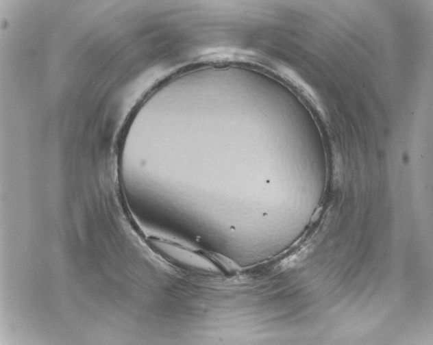 X0000075831376200609291411