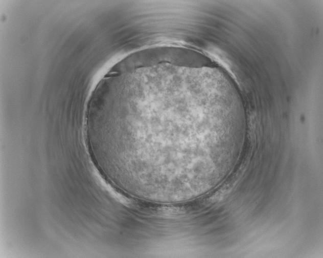 X0000075831379200609291411