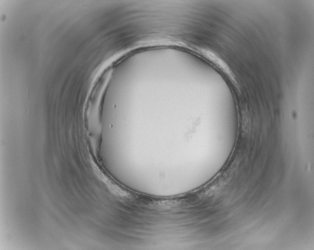 X0000075831380200609291411